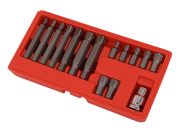 Ribe Bit Set - 15pc